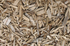 biomass boilers Gellygron